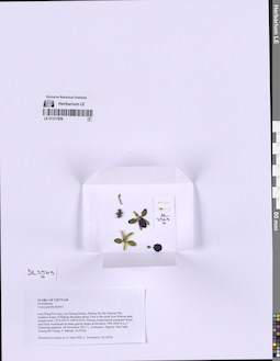 LE 01317856