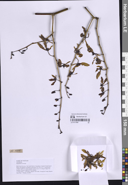 LE 01317860