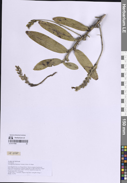 LE 01317868