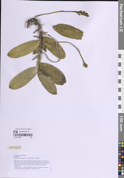 LE 01317869