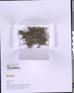 LE 01317870