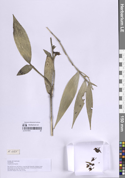 LE 01317874
