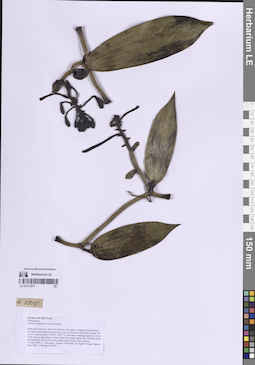 LE 01317877