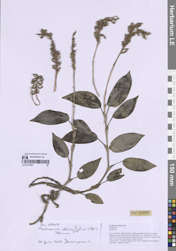 LE 01317882