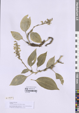 LE 01317889