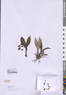 LE 01317897