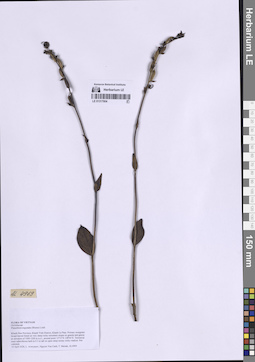 LE 01317904