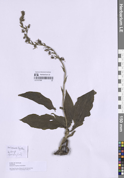 LE 01317908