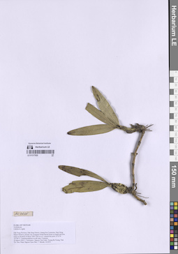LE 01317920