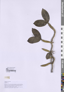 LE 01317925