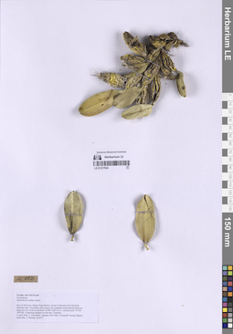 LE 01317934