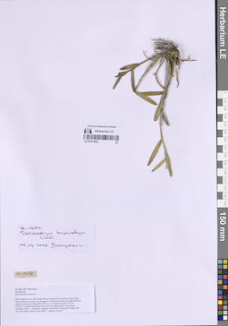 LE 01317942