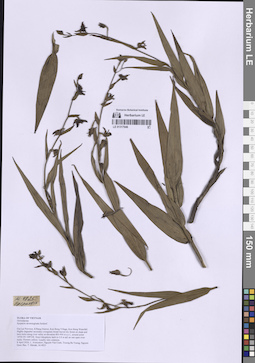 LE 01317946