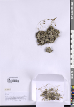 LE 01317957