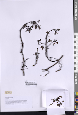 LE 01317961