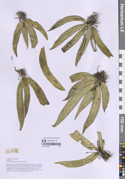 LE 01317965