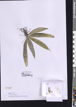 LE 01317966