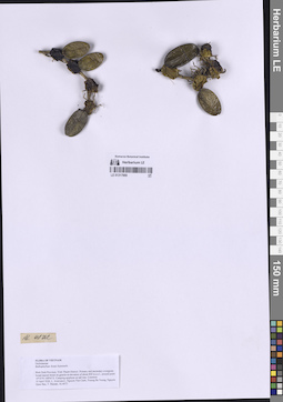 LE 01317969