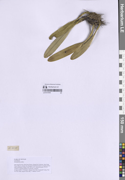 LE 01317970