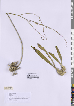 LE 01317972