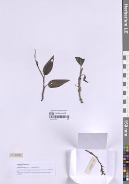LE 01317975