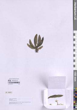 LE 01317977