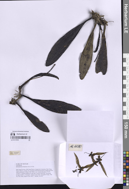 LE 01317978