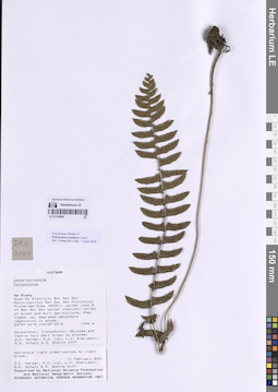 LE 01318494
