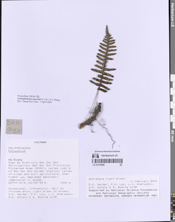 LE 01318499
