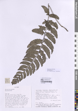 LE 01318507