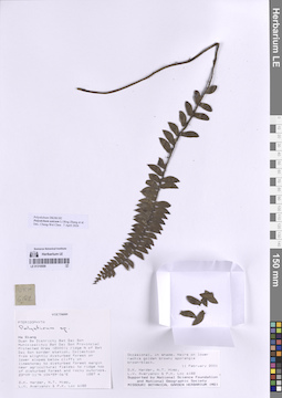 LE 01318509