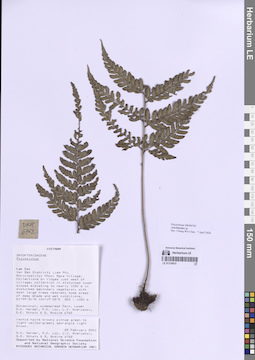 LE 01318610