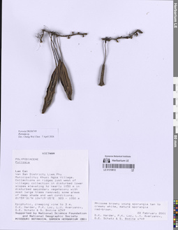 LE 01318612