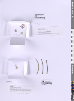 LE 01318811