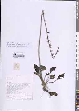 LE 01318824