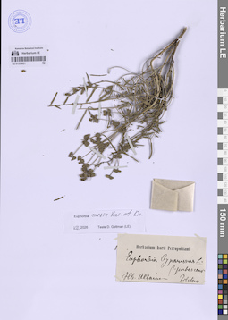 LE 01335821