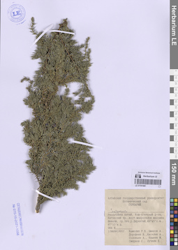 LE 01191505