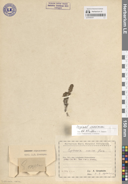 LE 01331271