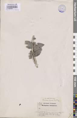 LE 00050390