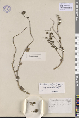 LE 01311995