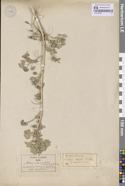 LE 01312192
