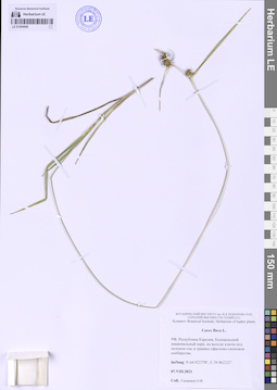 LE 01064906