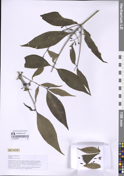 LE 01332169