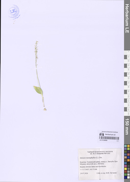 LE 01336009