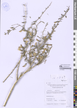 LE 01336022