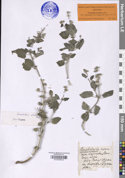LE 01009512