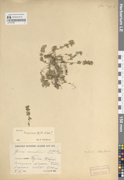 LE 01331286