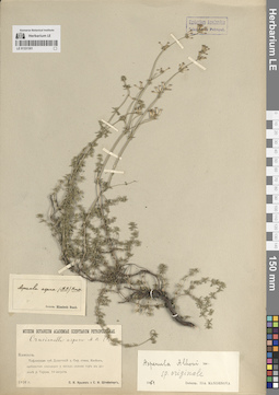 LE 01331301