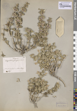 LE 01312289