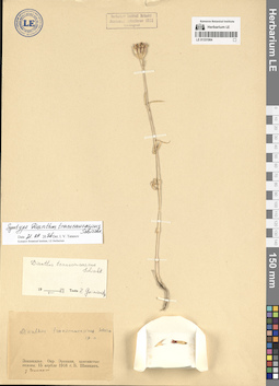 LE 01331964